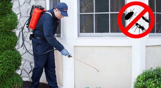 Kağıthane Haşere İlaçlama böcek ilaçlama ve haşere kontrolü — ilaclama-tr.com